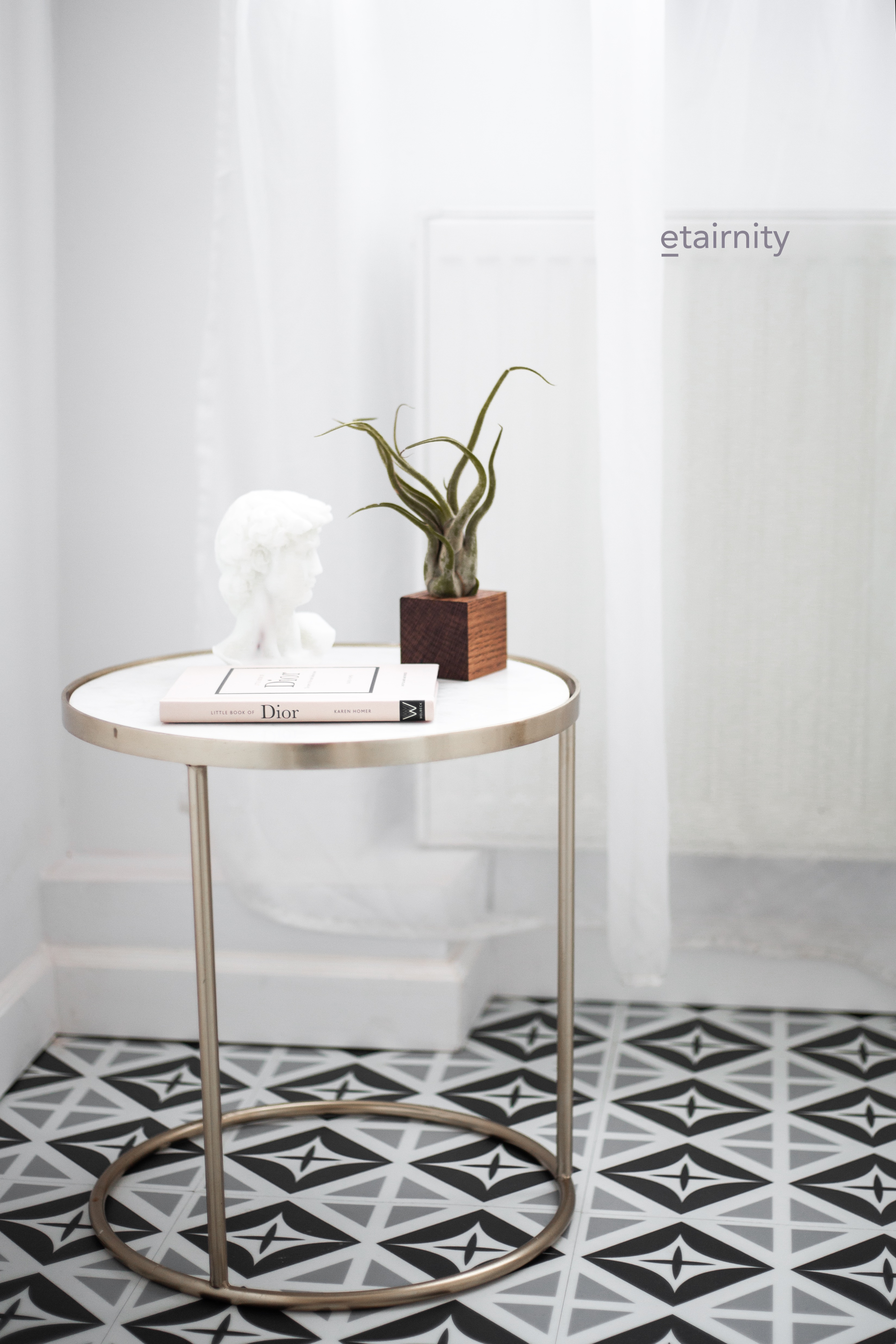 Kubus designhouder eikenhout set van 3 (inclusief luchtplantjes) – Minimalistische en uniek